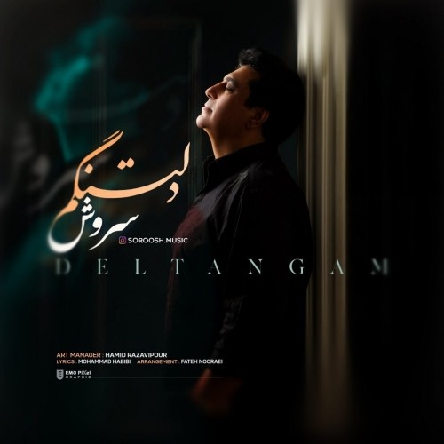 دانلود آهنگ جدید سروش به نام دلتنگم