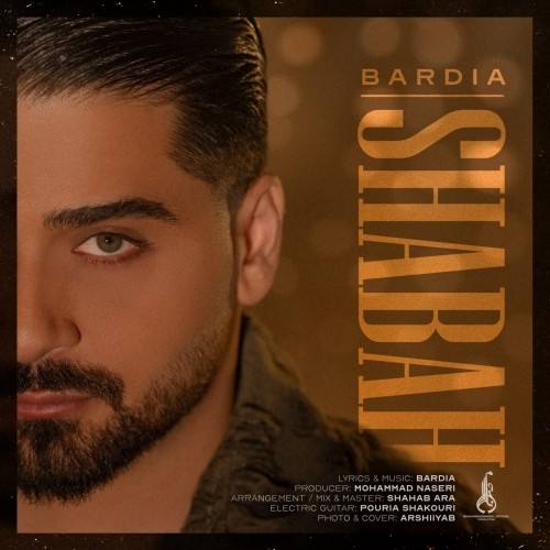 دانلود آهنگ جدید بردیا بهادر به نام شبح