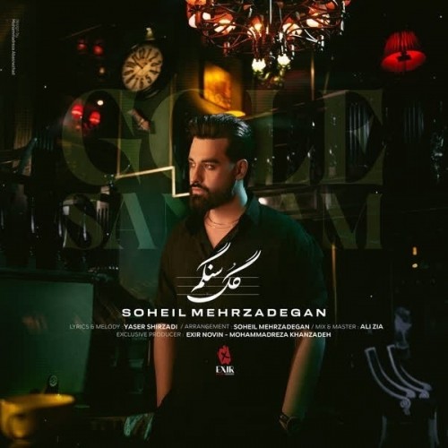 دانلود آهنگ جدید سهیل مهرزادگان به نام گل سنگم