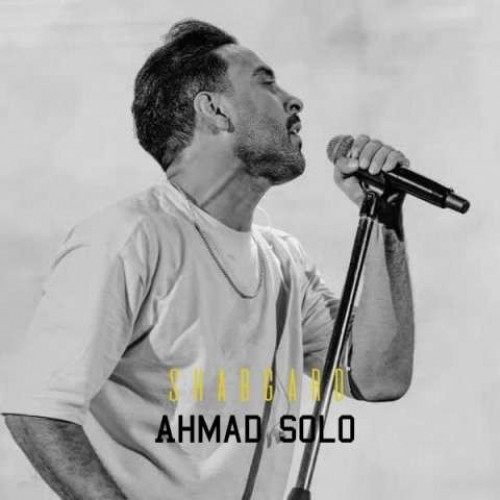 دانلود آهنگ جدید احمد سلو به نام شبگرد