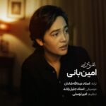 دانلود آهنگ وقتی عاشق شوی از امین بانی با کیفیت 320 + متن آهنگ