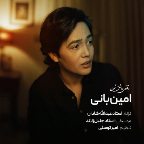 دانلود آهنگ جدید امین بانی به نام وقتی عاشق شوی