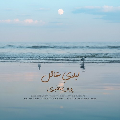 دانلود آهنگ جدید پویان مخبری به نام لیلای عاقل