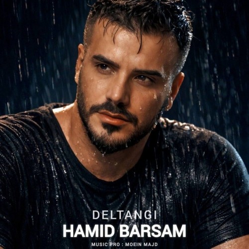 دانلود آهنگ جدید حمید برسام به نام دلتنگی