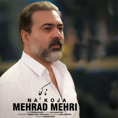 دانلود آهنگ جدید مهراد مهری به نام نا کجا