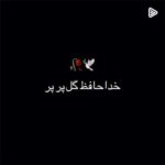 دانلود آهنگ گل پر پر از مهدی دارابی با کیفیت 320 + متن آهنگ